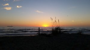 sea-oats-at-sunrise